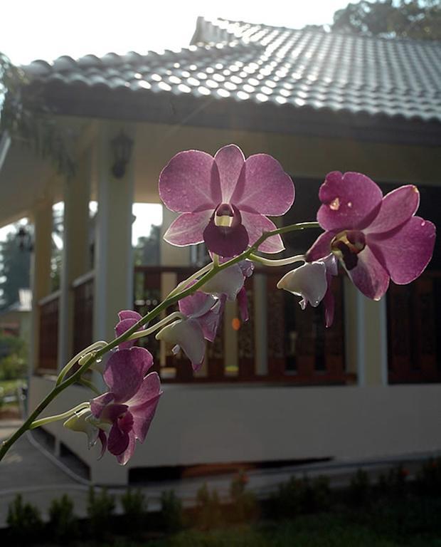 Apple Bungalows Bang Saphan Exterior foto
