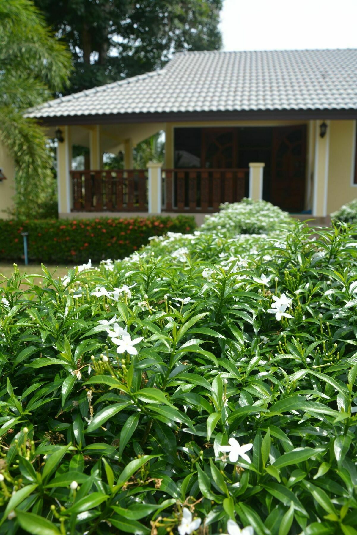 Apple Bungalows Bang Saphan Exterior foto